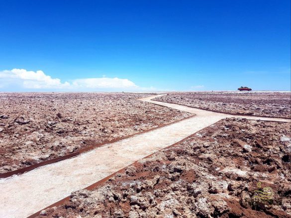 Kelionė į Čilę. Kaip atrodo smėlio audra Atakamos dykumoje, pilnoje geizerių ir flamingų