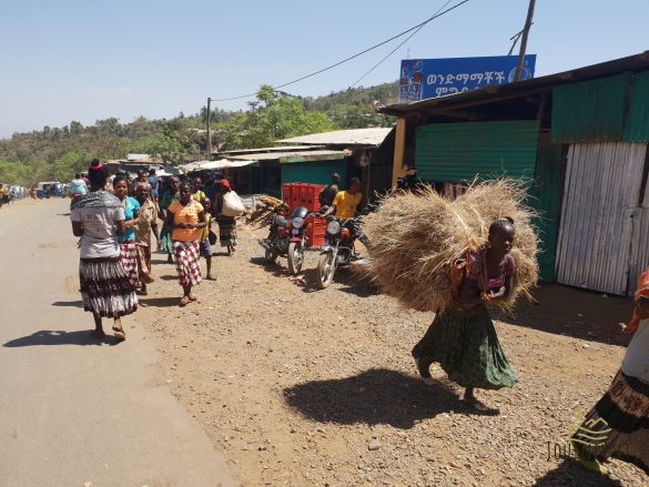 Kelionė į Etiopiją. Nesuvokiamas genčių gyvenimą: kūno puošyba kenčiant baisų skausmą, poligamija ir apmusiję vaikai