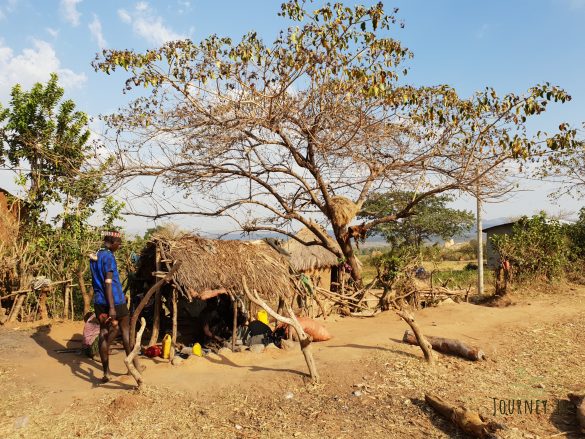 Kelionė į Etiopiją. Nesuvokiamas genčių gyvenimą: kūno puošyba kenčiant baisų skausmą, poligamija ir apmusiję vaikai