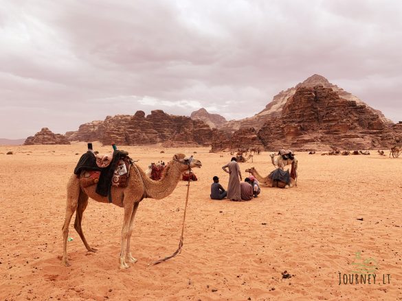 Kelionė į Jordaniją. Dakaro ralis dykumoje, auksinės salotos ant jūros kranto ir musulmoniškas vakaras