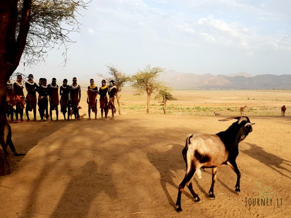 Kelionė į Etiopiją. Stebint genties šventę per kūną bėgo šiurpas: rykštėmis plakamos moterys, per jaučius šokinėjantys vyrai ir žudomi vaikai