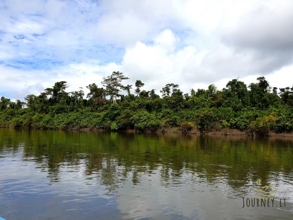 Ekspedicija į Papuą salą. Žygis pas kanibalus per pelkes ir upes