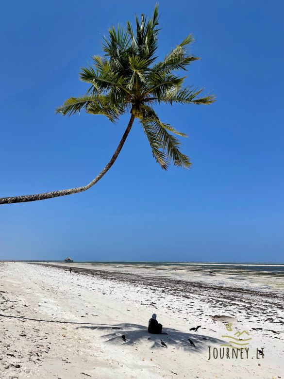 Zanzibaras – Gražiausi paplūdimiai, skaniausi patiekalai ir spalvingosios vestuvės